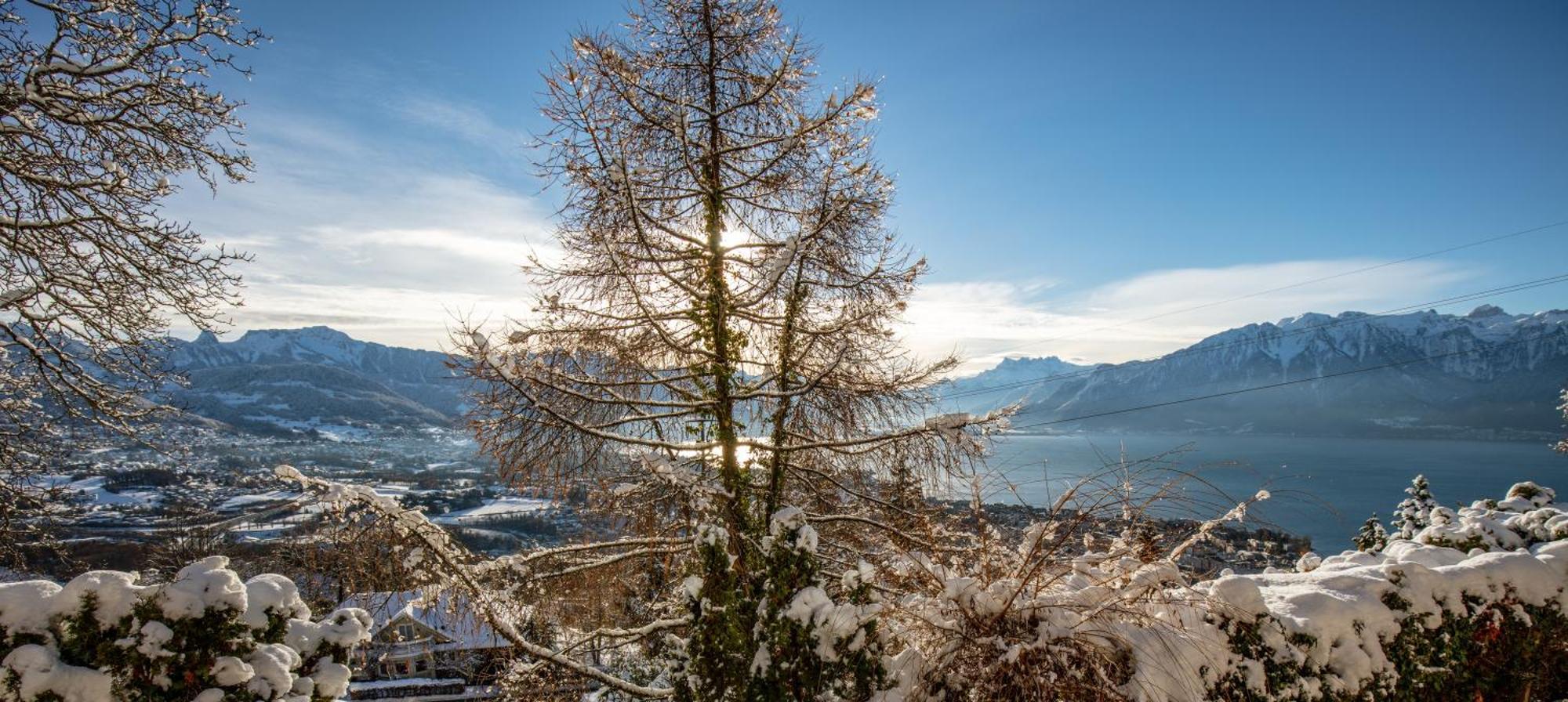 Le Toit De Chardonne - Entre Alpes Et Lac Leman מראה חיצוני תמונה